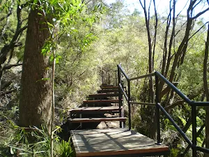 Some of the larger sections of boardwalk and infrastructure