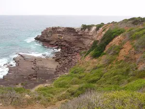 View from track to Haycock Point