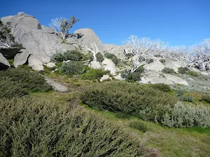 Track leading up to the gap at Porcupine Rocks