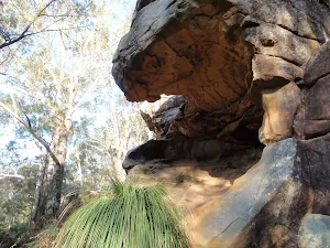 Beneath Wannagan lookout