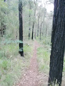 Jack Evans Track