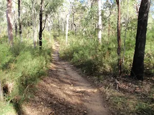 Trail down to Grinding Grooves