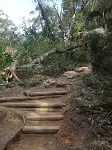 Track up from Berowra Creek