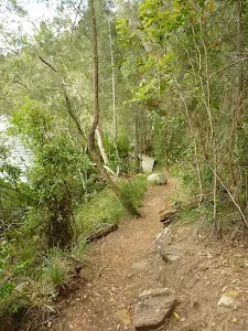 Rocky track east of Berowra Creek Lookout
