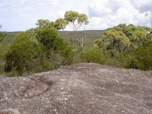 Rock landing to the side of the Challenger Track