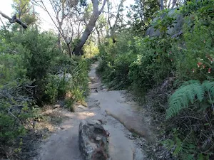 Walking along Chowder Head