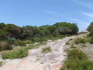Track to Coastal Track