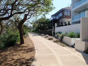 Manly Scenic Walkway behind houses