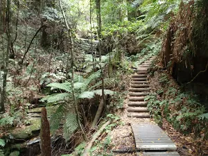 Stairs down from Fern Bower