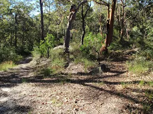 Int of Ridge trail and split rock management trail