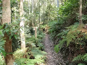 Narrow track