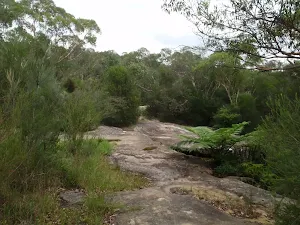 Rock platform at Tributary Cascades