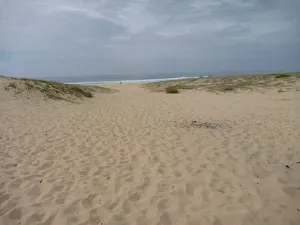 Sandy track down to the Redhead Beach