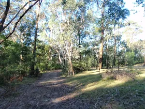 Simpson Track next to Ten Mile Hollow camping area