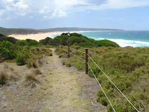 Track down to Bournda Beach