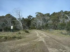 Dargals Trail leading under the power lines
