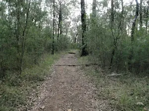 Pisgah Rock track