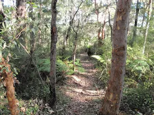 Flat section along the top of the ridge