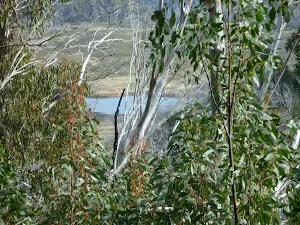 Glimpse of Tooma Reservior from  Dargals trail