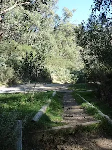 Int of Merritts nature track and Bobsled link track