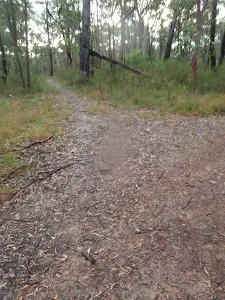 Trail up to Station St