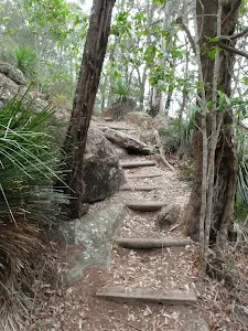 Steps on the Mouat Walk