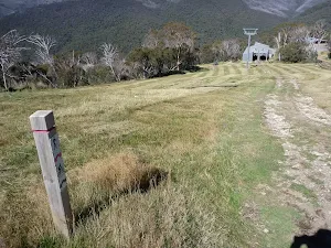 Walking down alongside the Cruiser Chairlift