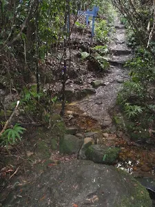 Track across creek