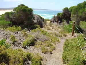 Track south of Bournda Beach
