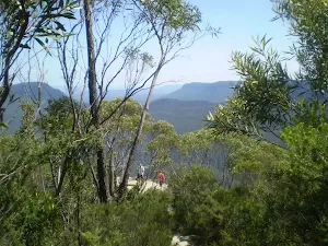 Looking down at the Lady Darley Lookout