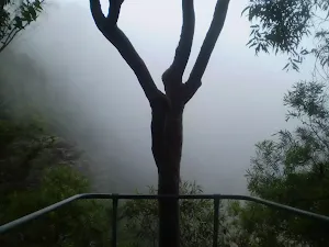 View from Queen Victoria Lookout