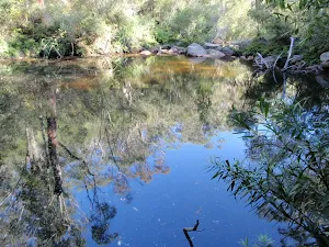 Jeannie's Pool