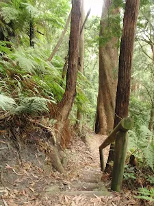 Walking down some stairs