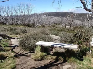 A seat with a view