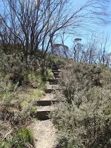 Steps leading up the DHG track