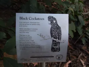 Learn about Flora and Fauna