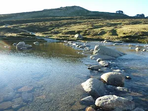 Snowy River