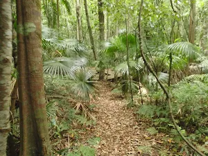 Toomey Walk on the valley floor