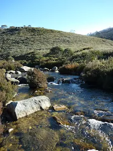 Thredbo River near Cascade Trail head