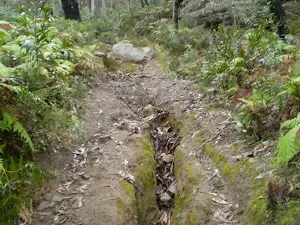 The track on the southern side of Deep Pass