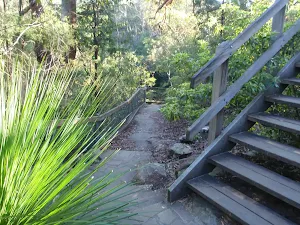 Looking towards 1st Falls Lookout