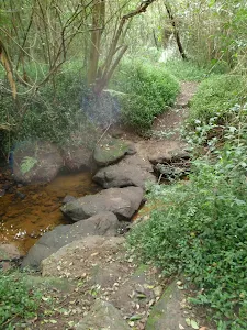 Riverside Walking Track