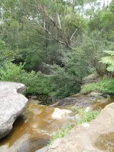 Tributary Cascades