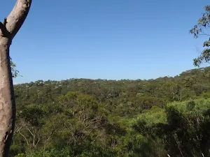 View from Natural Bridge track