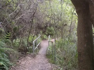 Overcliff Walk