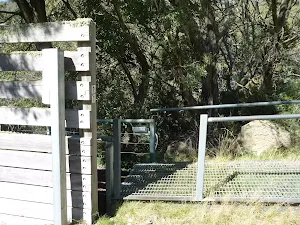 Top of Village trail footpath