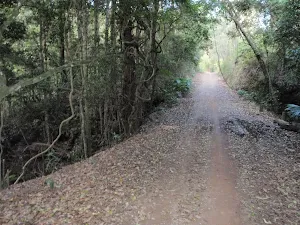 Lady Carrington Drive crossing Tamur Brook