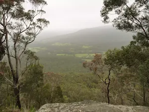 Monkey Face Viewpoint