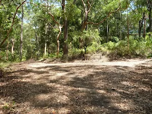 Trail intersection and sign in Blackbutt Reserve