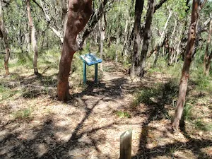 sign halfway along the Palm Tree Circuit Track